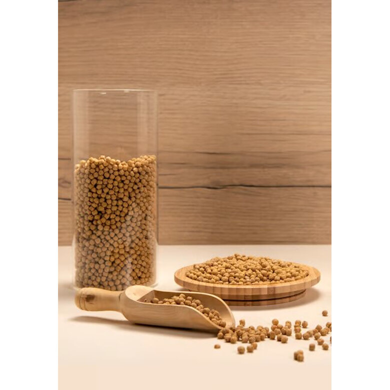 Psittacus Mini ração para pássaros pequenos,  Imagem número 6 Psittacus Mini ração para pássaros pequenos, , large Imagem número 6