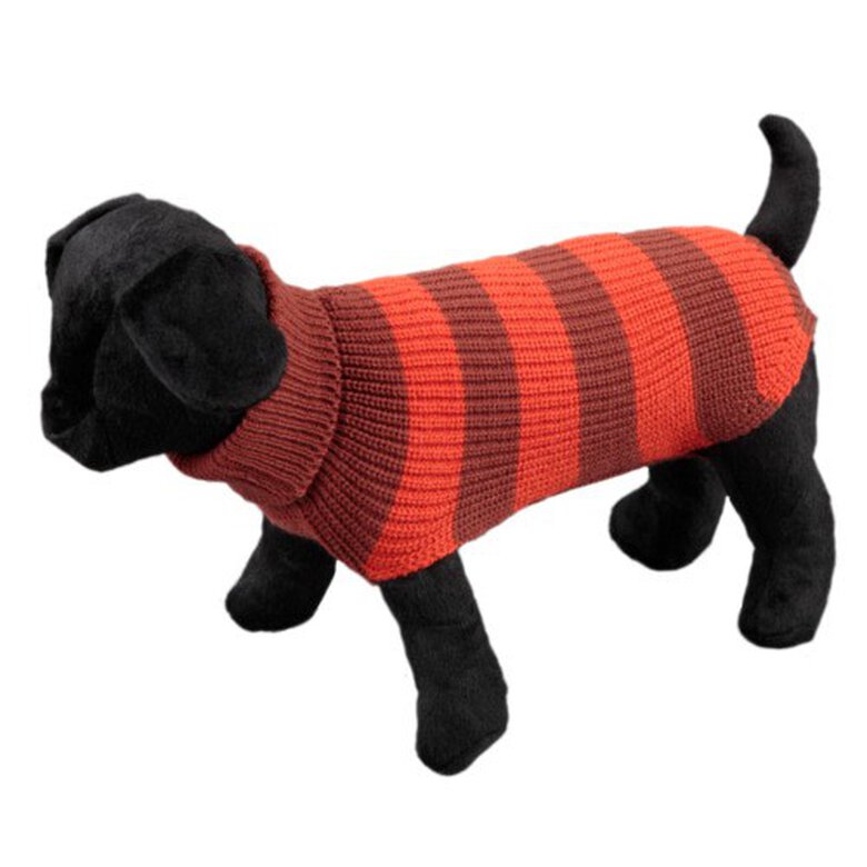 Arppe Vintage jersey para perros image number null