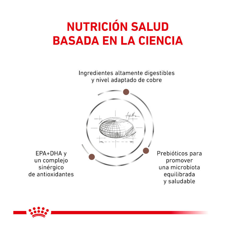 4 kg Royal Canin Veterinary Hepatic ra&ccedil;&atilde;o para gatos , , large Imagem n&uacute;mero 2