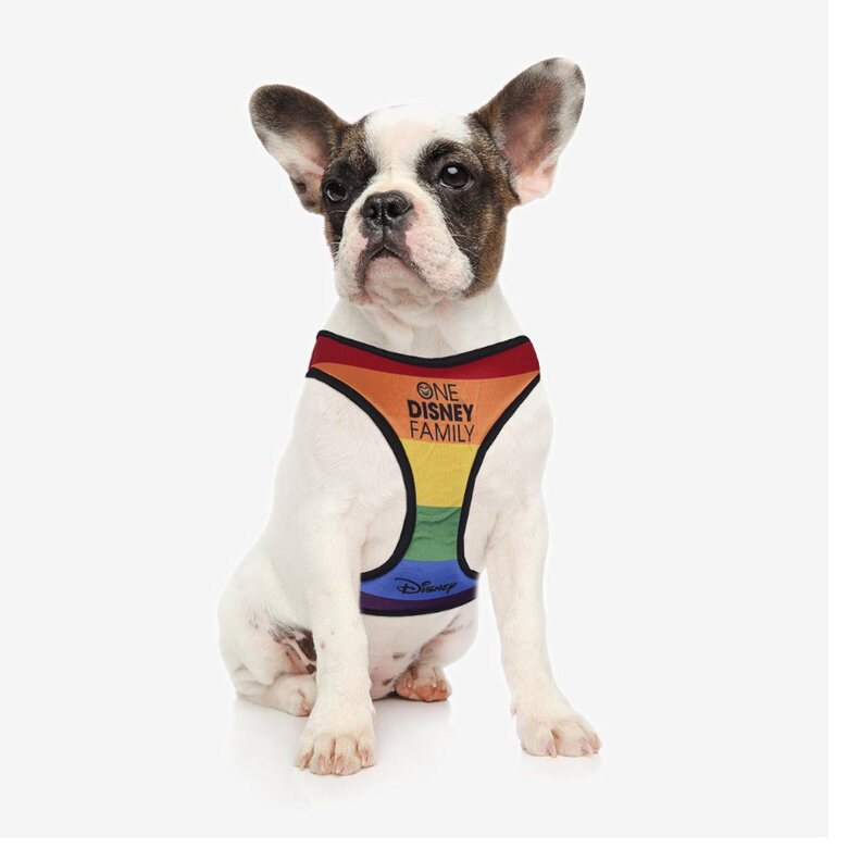 Disney Pride Peitoral multicolorido para cães, , large image number null