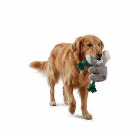 All For Paws Safari Cuddle Koala com corda Brinquedo para c&atilde;es