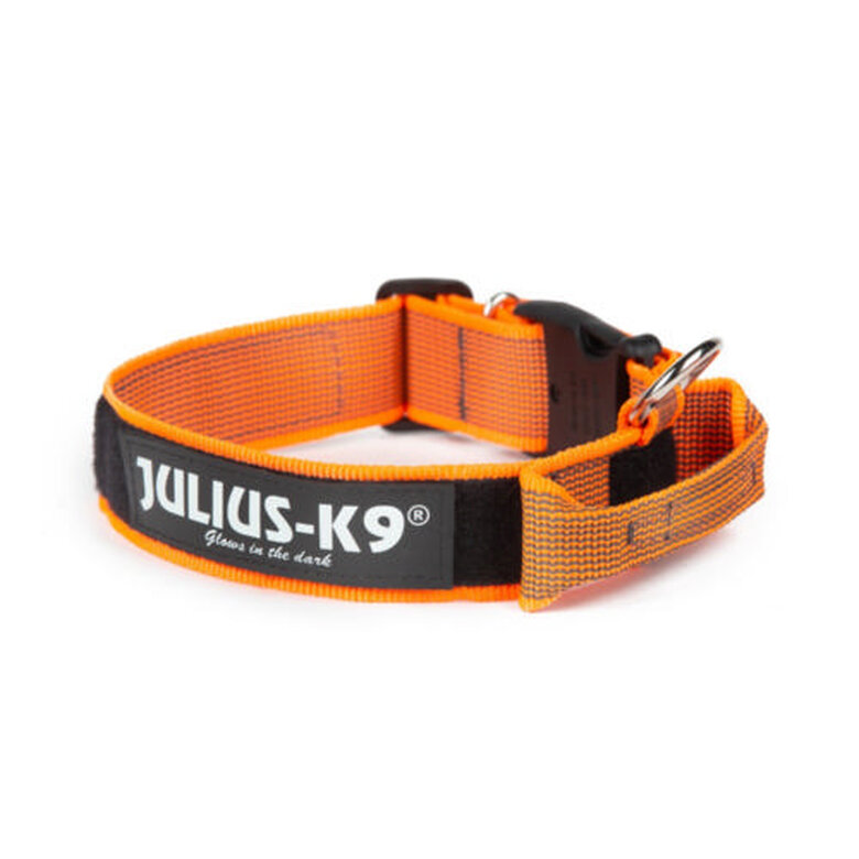 Julius K9 Coleira Nylon Laranja para cães,  Imagem número 1 Julius K9 collar para perros nylon naranja con asa Imagem número 1