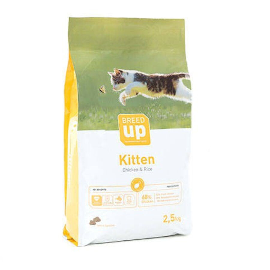 2.5 kg Breed Up Kitten frango ra&ccedil;&atilde;o para gatitos, , large Imagem n&uacute;mero 1