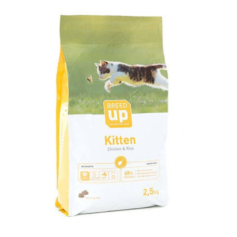  Breed Up Kitten frango ração , , large image number null