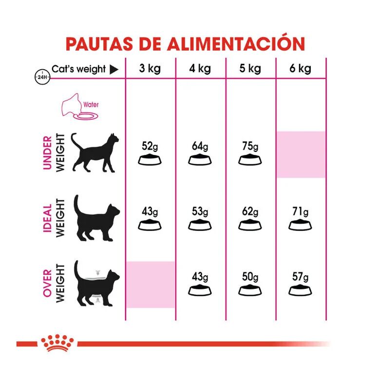 2 kg Royal Canin Adult Exigent Protein ra&ccedil;&atilde;o para gatos, , large Imagem n&uacute;mero 6