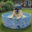 Summer Vibes Pool Funny Dolce Vita Piscina para c&atilde;es, , large Indicador imagem n&uacute;mero 1