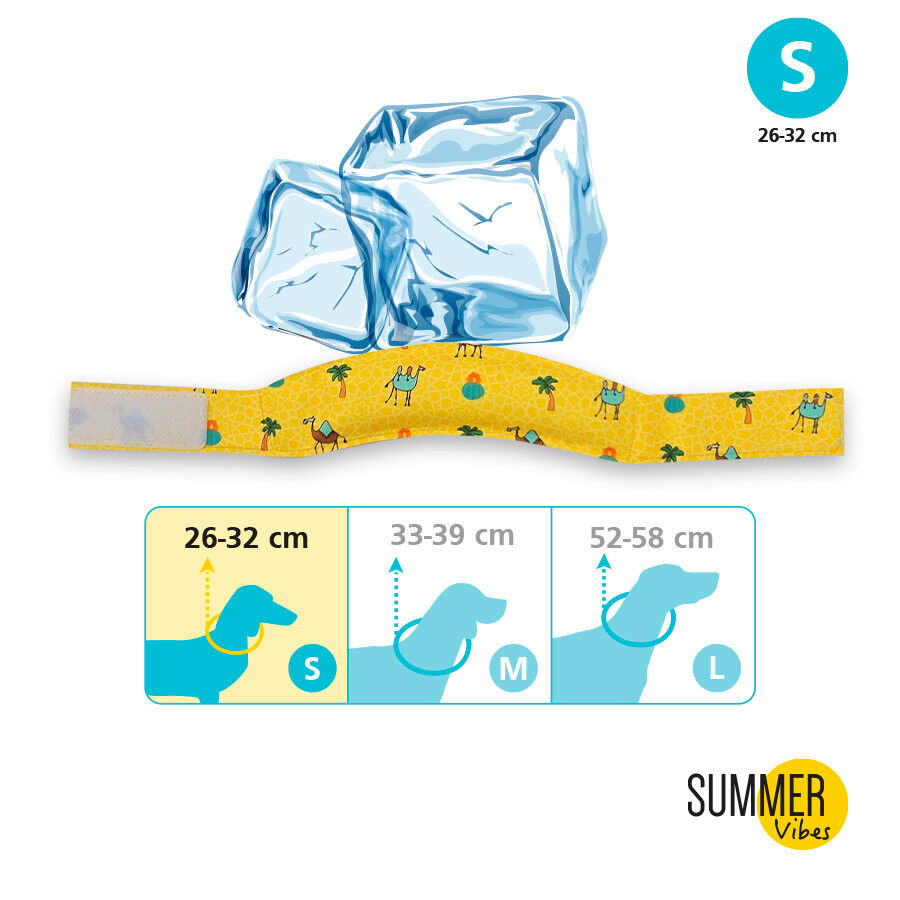 Summer Vibes Bandana refrescante para c&atilde;es, , large Imagem n&uacute;mero 3