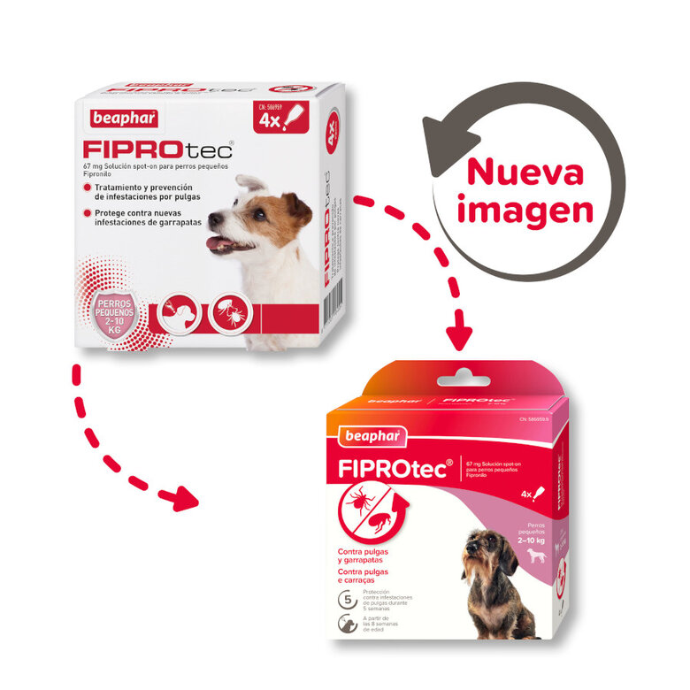 Beaphar FiproTec Pipetas Antiparasitárias para cães de raça pequena, , large image number null