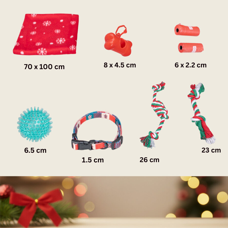 Wonder Christmas Caixa de Brinquedos de Natal para C&atilde;es, , large Imagem n&uacute;mero 4