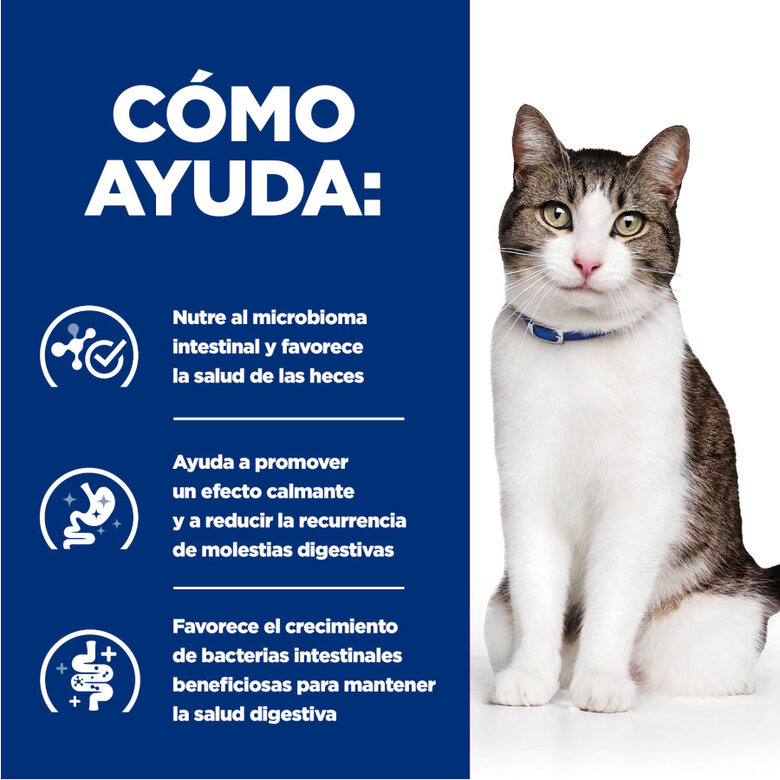 82 g Hill’s Prescription Diet Gastrointestinal Biome Stress estufado lata para gatos,  Imagem número 4 82 g Hill’s Prescription Diet Gastrointestinal Biome Stress estufado lata para gatos, , large Imagem número 4