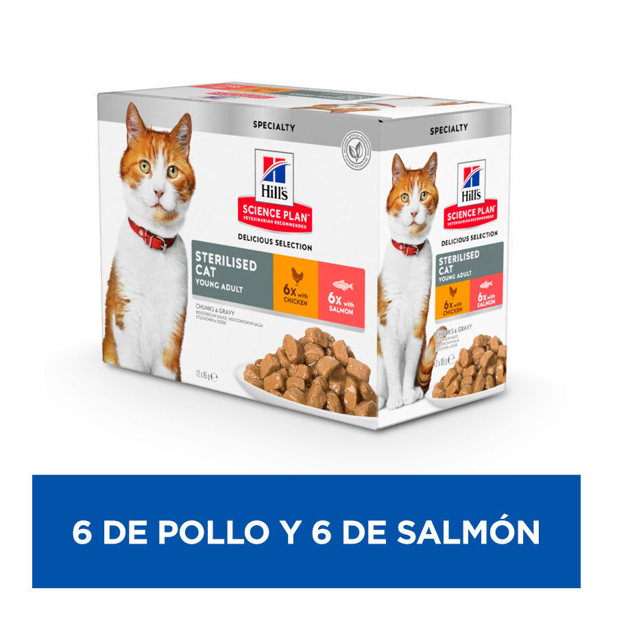 12 sobres x 85 g Hill's Science Plan Esterilizado Adulto Frango e Salm&atilde;o em Molho para Gatos, , large Imagem n&uacute;mero 2