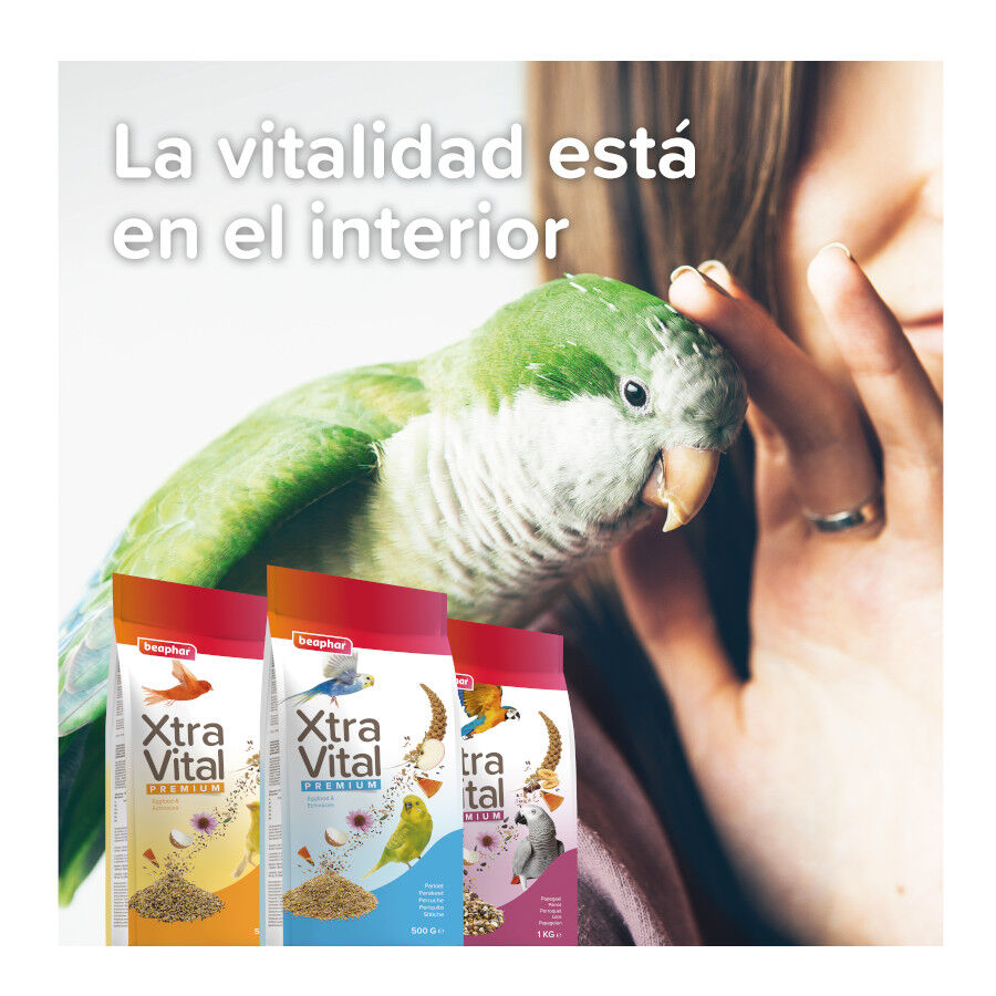 Beaphar XtraVital comida para periquitos, , large Imagem n&uacute;mero 7