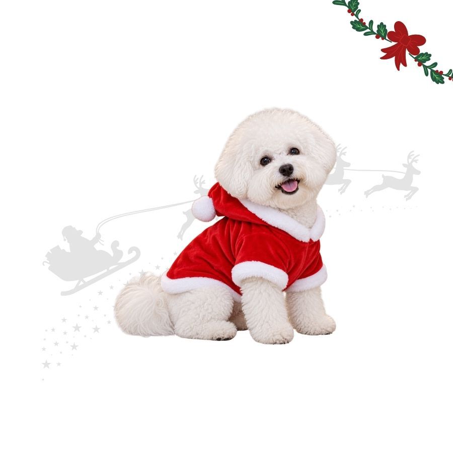 Wonder Christmas Camisola de Natal para c&atilde;es, , large Imagem n&uacute;mero 1