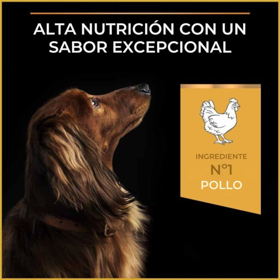 Purina Pro Plan Adult Light Esterilizado Ra&ccedil;&atilde;o de frango para c&atilde;es, , large Imagem n&uacute;mero 6