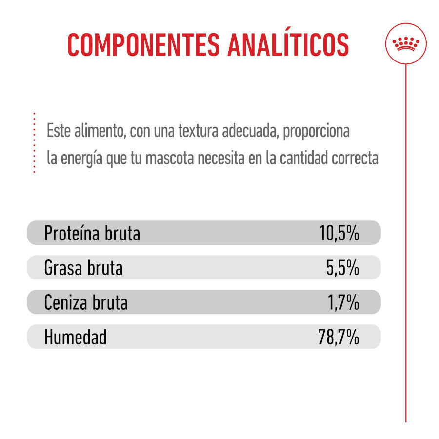 195 g Royal Canin Mother Baby mousse latas para gatos, , large Imagem n&uacute;mero 9