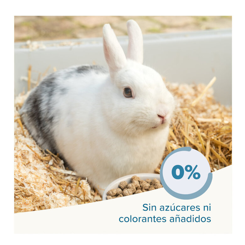 Beaphar Care+ ração para coelhos seniors,  Imagem número 5 Beaphar Care+ ração para coelhos seniors, , large Imagem número 5