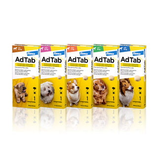 AdTab Comprimidos mastigáveis antiparasitários para cães