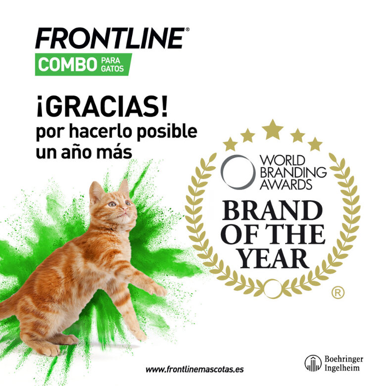 Frontline Combo pipetas antiparasitárias para gatos e furões,  Imagem número 8 Frontline Combo pipetas antiparasitárias para gatos e furões, , large Imagem número 8