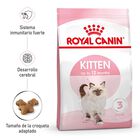 Royal Canin Kitten ração para gatos, , large image number null