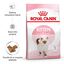 10 kg Royal Canin Kitten ração para gatos, , large Indicador imagem número 2