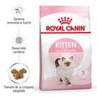 Royal Canin Kitten ração para gatos , , large image number null
