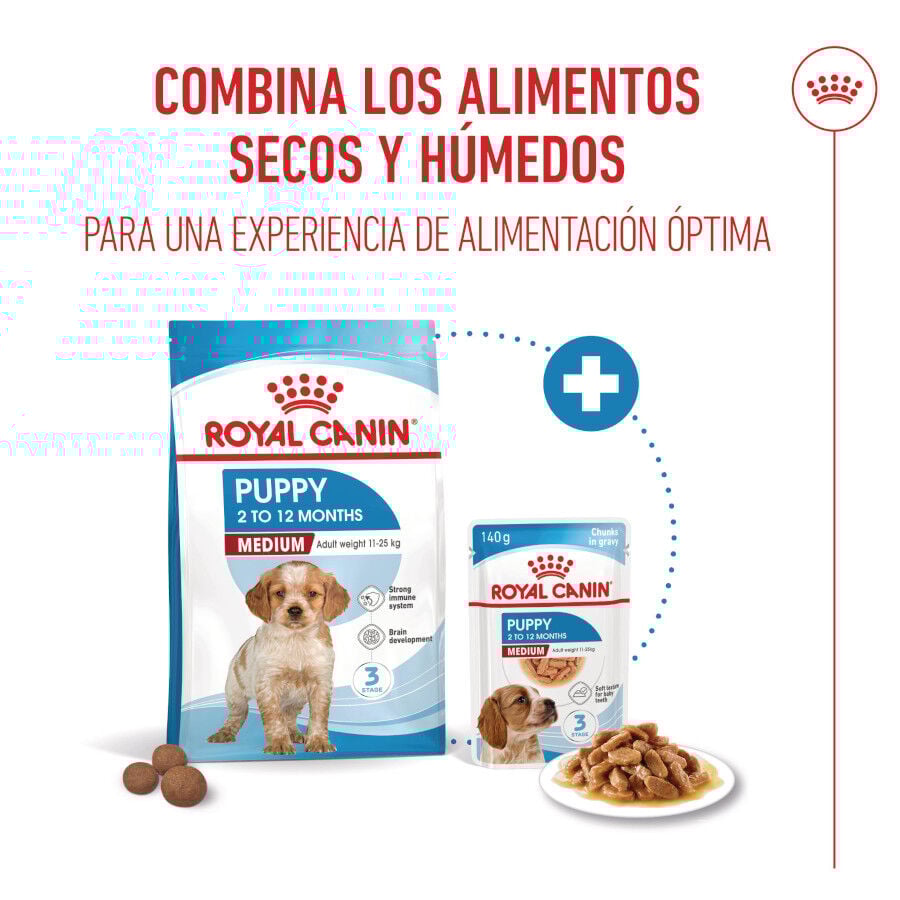 140 g Royal Canin Medium Puppy saquetas para c&atilde;es, , large Imagem n&uacute;mero 4