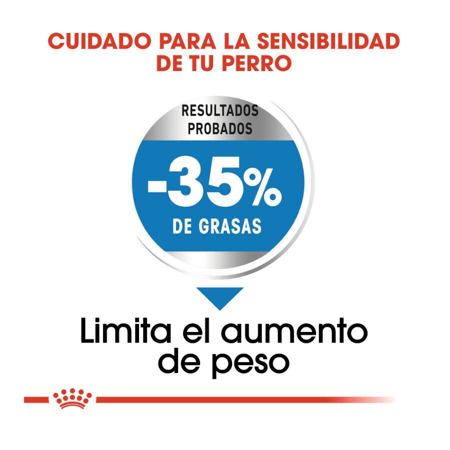 12 kg Royal Canin Maxi Light Weight Care ra&ccedil;&atilde;o para c&atilde;es, , large Imagem n&uacute;mero 6