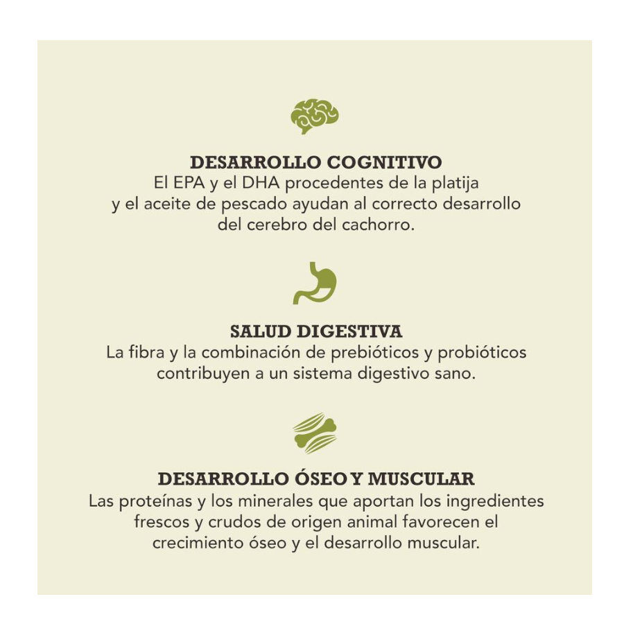 17 kg Acana Puppy Large Breed ra&ccedil;&atilde;o para c&atilde;es, , large Imagem n&uacute;mero 3