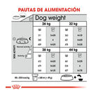 Royal Canin Maxi Joint Care ração para cães, , large image number null