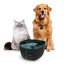 Cecotec Pumba 2200 Refresh Bebedouro Automático para cães e gatos, , large Indicador imagem número 4