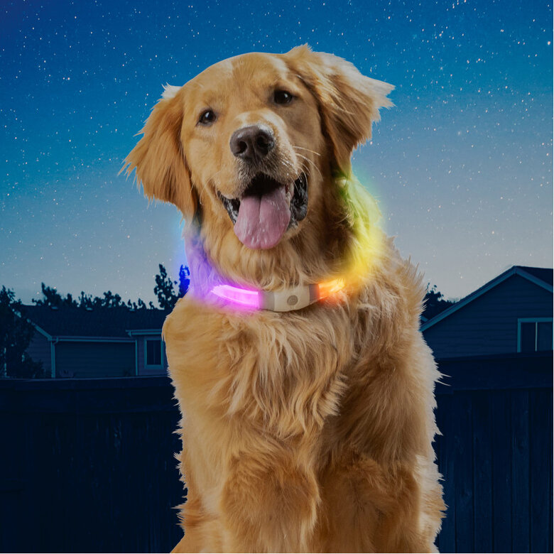 Coleira de segurança para cães Nite Ize NiteHowl Max LED,  Imagem número 2 Coleira de segurança para cães Nite Ize NiteHowl Max LED, , large Imagem número 2