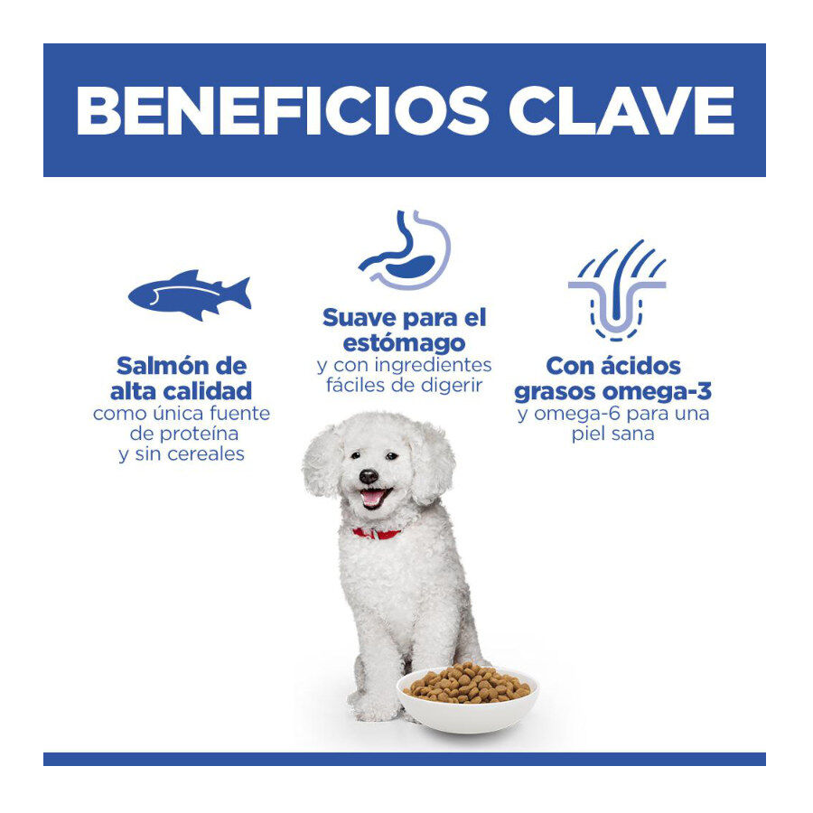 Hill's Science Plan Hipoalerg&eacute;nico Small e Mini Salm&atilde;o ra&ccedil;&atilde;o para c&atilde;es , , large Imagem n&uacute;mero 4