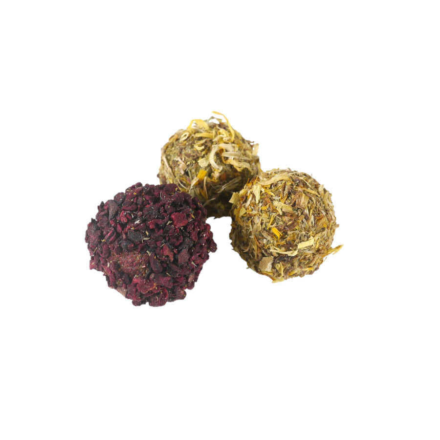 Rosewood Bolinhas de snacks de Natal para roedores, , large Imagem n&uacute;mero 3