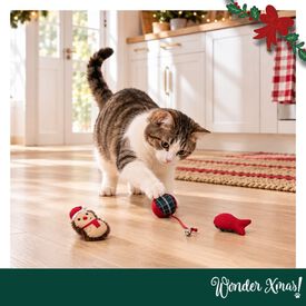 Wonder Christmas Conjunto Ouri&ccedil;os Brinquedo para gatos