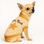 Outech Jersey Rock para cães, , large Indicador imagem número 3