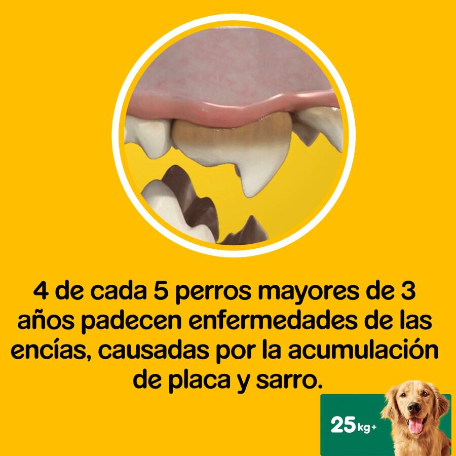 7 sticks Pedigree Dentastix Fresh Snacks Dent&aacute;rios para C&atilde;es Grandes, , large Imagem n&uacute;mero 6