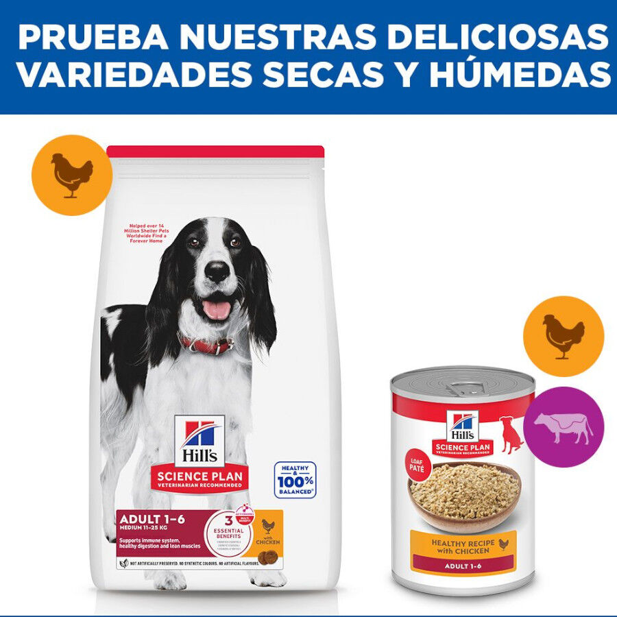 2 x 14 kg Hill's Science Plan Adult Medium Frango ra&ccedil;&atilde;o para c&atilde;es Pack poupan&ccedil;a!, , large Imagem n&uacute;mero 9