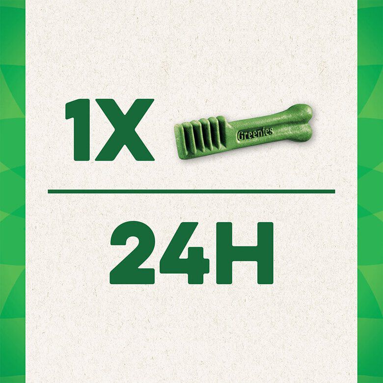 6 sticks Greenies Snacks Dent&aacute;rios 100% Natural Grain Free para c&atilde;es m&eacute;dios, , large Imagem n&uacute;mero 6
