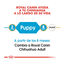 Royal Canin Puppy Chihuahua ração para cães , , large Indicador imagem número 7