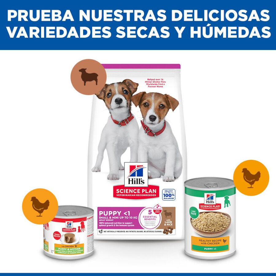 6 kg Hill's Science Plan Puppy Small & Mini Ra&ccedil;&atilde;o de cordeiro e arroz para c&atilde;es, , large Imagem n&uacute;mero 8