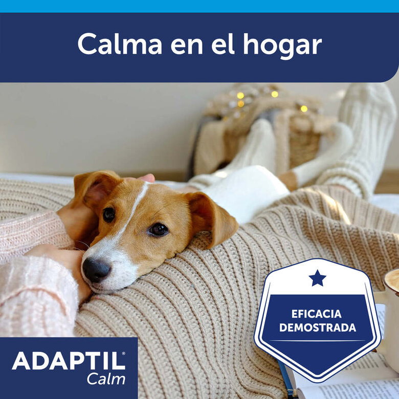 Adaptil Difusor e Recarga Tranquilizante para Cães,  Imagem número 7 Adaptil Difusor e Recarga Tranquilizante para Cães, , large Imagem número 7