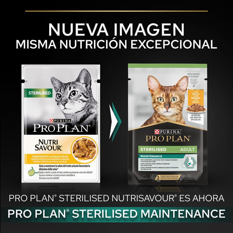 85 g Pro Plan Sterilised Maintenance saquetas com frango em molho para gatos,  Imagem número 2 85 g Pro Plan Sterilised Maintenance saquetas com frango em molho para gatos, , large Imagem número 2