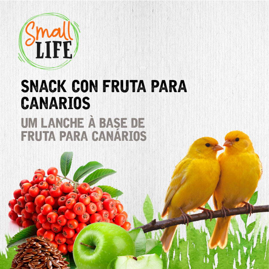 2 barritas Small Life Barritas Snack com Fruta para can&aacute;rios, , large Imagem n&uacute;mero 4