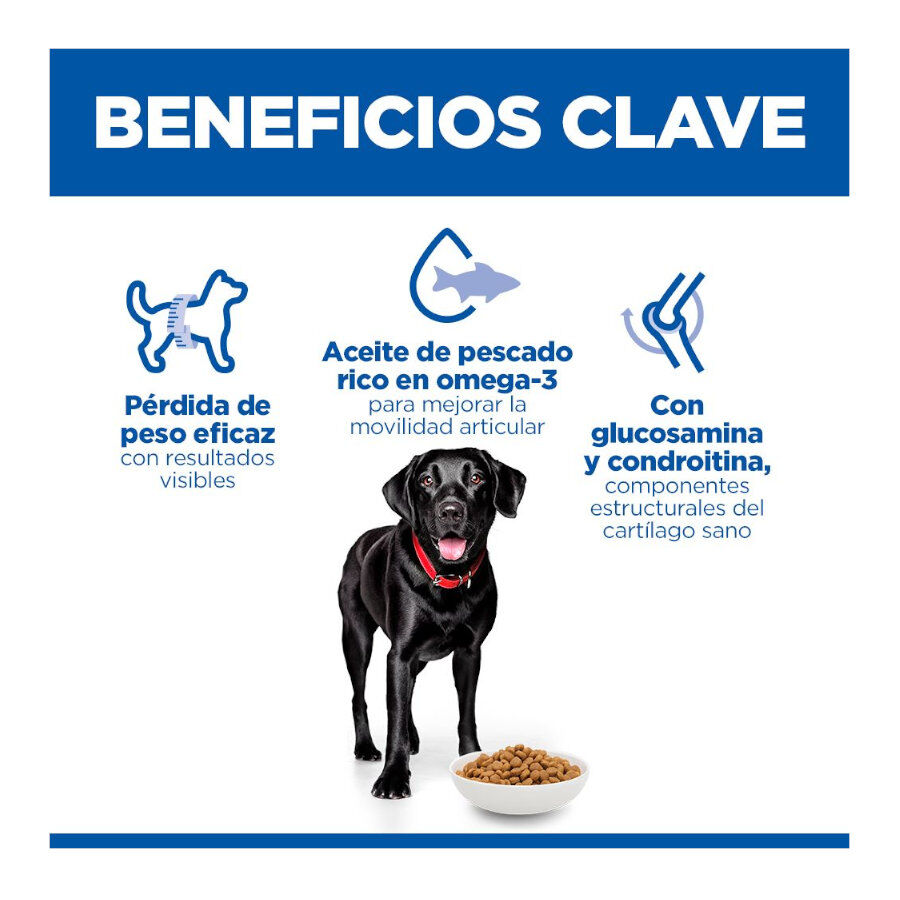 12 kg Hill's Science Plan Perfect Weight y Active Mobility frango ra&ccedil;&atilde;o para c&atilde;es, , large Imagem n&uacute;mero 3