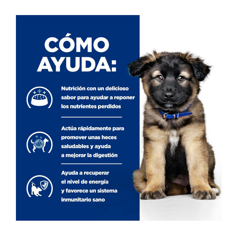 12 kg Hill's Prescription Diet I/D Digestive Care Puppy Pienso Seco Pollo para perros,  Imagem número 4 12 kg Hill's Prescription Diet I/D Digestive Care Puppy Pienso Seco Pollo para perros, , large Imagem número 4