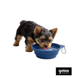 Gotoo Comedouro Dobr&aacute;vel e Port&aacute;til em Silicone Azul para c&atilde;es e gatos