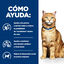 8 kg Hill's Prescription Diet Urinary Care Frango ra&ccedil;&atilde;o para gatos, , large Indicador imagem n&uacute;mero 4