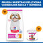 200 g Hill's Science Plan Mature Smalle Mini Mousse de Frango em lata para cães, , large Indicador imagem número 5