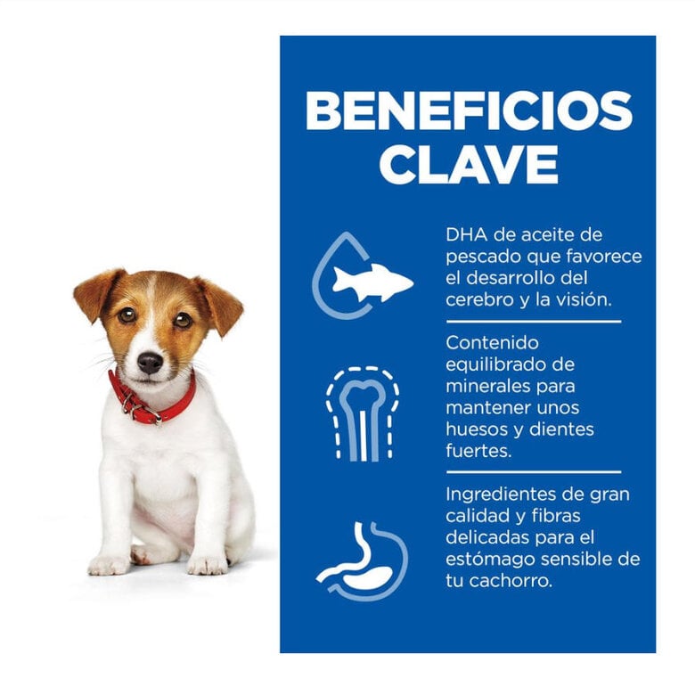 6 kg Hill's Science Plan Puppy Small & Mini Ração de cordeiro e arroz para cães,  Imagem número 2 6 kg Hill's Science Plan Puppy Small & Mini Ração de cordeiro e arroz para cães, , large Imagem número 2