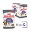 12 saquetas x 85 g Royal Canin Appetite Control Care molho saqueta para gatos Pack poupan&ccedil;a!, , large Indicador imagem n&uacute;mero 1